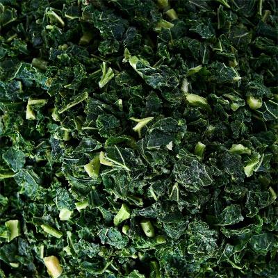 China Healthy Food factory direct sales frozen kale wholesale export frozen  kale for sale