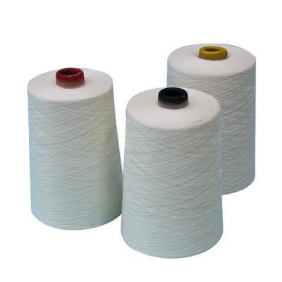 China Chinese Importers Free Sample Top Tenacity Meta-aramid Fiber Filament Yarn Meta Aramid Yarn High Anti-bacteria Yarn for sale