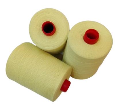 China Chemical-resistant Kevlar yarn for sale for sale