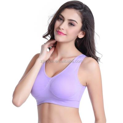 China Antibacterial Women's One Piece Seamless Daily Wear Plus Size Bra for sale