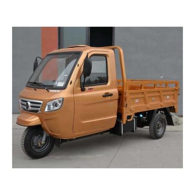 China Adult Fully Enclosed Cabin Cargo 3 Wheel Motorcycle Tricycle with 1000W Power Output for sale