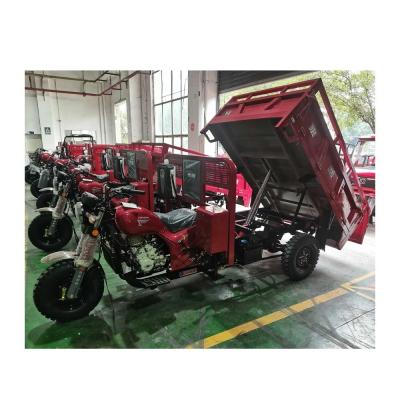 China Motor de carga de 250cc Triciclo / Adulto de 3 ruedas de descarga motorizado Motor de gasolina Triciclo en venta