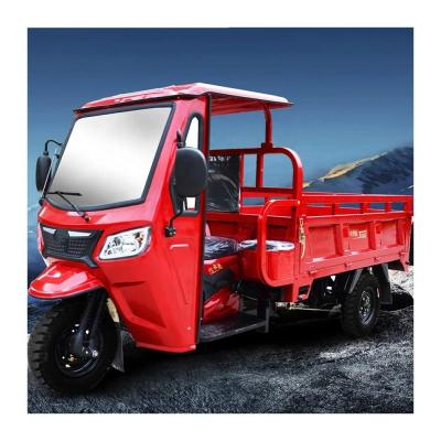 중국 Motorized 3 Wheel Cargo Tricycle for Adults 1000W Gasoline Engine Tricycle Motorcycle 판매용