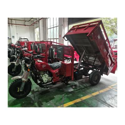 China Powerful 250cc Water-Cooled Jinqing EFI Engine Motorised Trike Dump Tricycles for Adults for sale