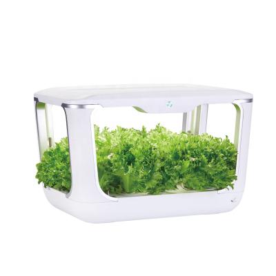 China Easy Assembled Smart Mobile APP Mini Flower Groing Kit Home Vegetable Controlled Seed LED Grow Box Planter for sale