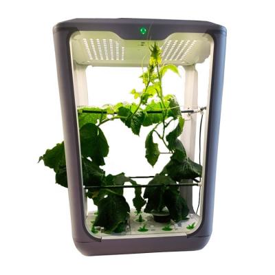 China Easily Assembled Desktop High Hydroponic Home Seeding Grow Box Planting Lamp Box Automatic Indoor Growing Garden Plant for sale