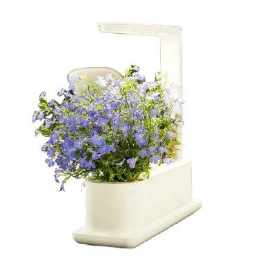 China Wholesale HOT Easily Assembled Mini Desktop Plant Indoor Amazon Factory Direct Selling LED Grow Box For Desktop Decoration for sale