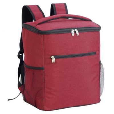 China Fashion Waterproof Peva Striping Leakpoof Large Size Ice Beer Zipper Food Delivery Hiking Thermal Insulated Picnic Cooler Bag Backpack for sale