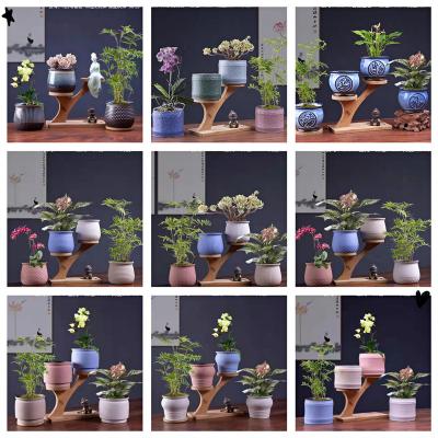 China New Macaron Creative Succulent Flower Pot Small Decorative Garden Potted China Multicolor Ceramic for sale