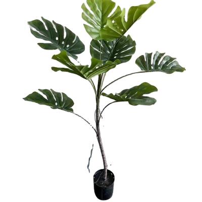 China Large Indoor Natural Touch Plant and Outdoor Landscape Bonsai Trees Wedding Arrangement Hotel Office Artificial Turtle Leaf Tree for sale