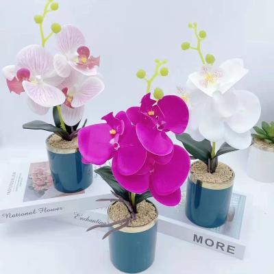 China Wholesale Interior Ministry Desert Phalaenopsis Touch Decoration Simulation Plant Potted Natural Ceramic Plant for sale