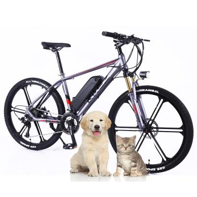 China The hidden controller Best quality magnesium alloy fame and hidden lithium battery adult electric bike for sale