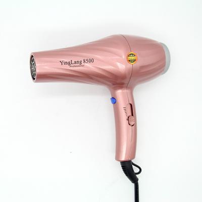 China Ionic Famous Brand Concentrator Nozzle Professional AC /DC Motor Salon Hair Dryer for sale