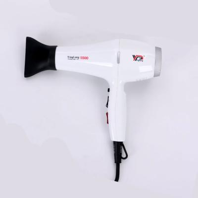 China Best Quality Ionic Blow Dryers Salon Hair Dryer Supersonic Hair Dryer With Accessories For Dgson Supersonic Hair Dryer for sale