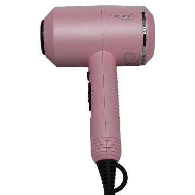 China Private Label CustomizationNegative Professional Ion Hair Dryer Salon Anion Hair Dryer for sale