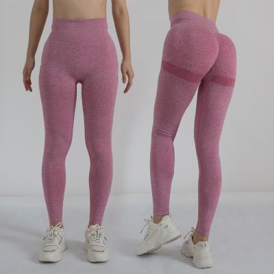 China Antibacterial Yoga Pant Gaiters Butt Lift High Waist For Women Wear Yoga Pants External Gaiters for sale