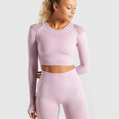 China Breathable New Style Seamless Yoga Sets Yoga Clothing Women Long Sleeve Long Sleeve Women's Yoga Two Piece Set for sale