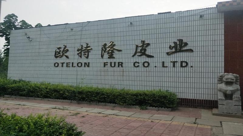 Verified China supplier - Nangong Otelon Fur Products Co., Ltd.