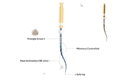 China Heat Activation Dental Golden Pro-Taper Files High Flexibility For Curved Canals for sale