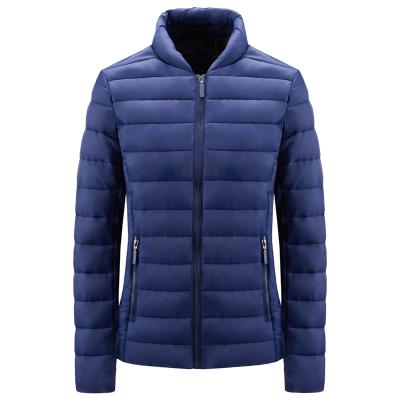 China 2023 Hot Selling Imitation Raincoats Down Padded Jacket Quilted Nylon Winter Ladies Warm Jackets for sale