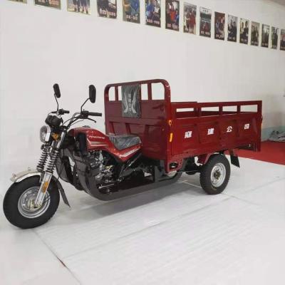 China Cargo China Manufacturer 500-12 Tire Gasoline Open Cargo Tricycle for sale