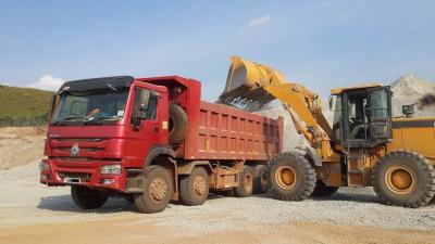 China Euro 3 Max Speed 75 Km/H Heavy-Duty Sinotruk HOWO 8X4 Tipping Truck for Construction for sale