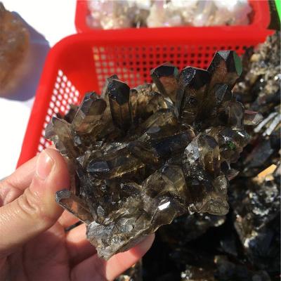 China China Natural Dots Crystal Smoky Black Quartz Clusters Healing For Decoration for sale