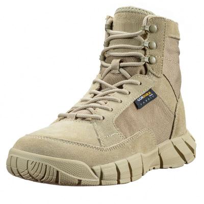 China Wear-resistant Comfortable Breathable Waterproof Military Training for Military Fans Tactical Shoes for sale