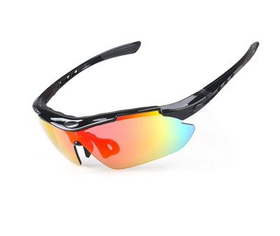 China Anti Fog Polarized Sport Sunglasses Scratch Resistant For Women And Men for sale