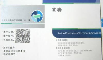 China Cabezas de impresión industriales del funcionamiento 1-24 de la impresión de alta velocidad de la impresora de chorro de tinta de TIJ 2,5 suavemente en venta