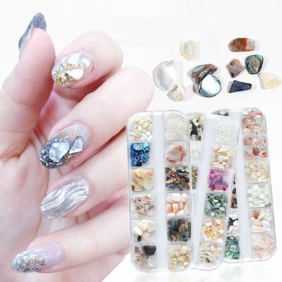 China Easy Apply Abalone Slices 3D Nail Art Charm Colorful Sea Nail Charms Irregular Crushed Natural Shell Nail Art Decoration for sale