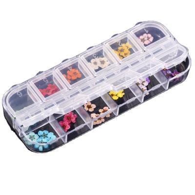 China Eco-Friendly 24 Pieces/Box Real Flower Nail Stickers 12 Colors 2 Kinds Of Real Dry Nail Art Jewelry Decals Manicure Flower Decor for sale