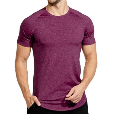 China New Men's Print Custom Slim Fit T-shirt Sweat-wicking Tee Soft Stretchy 100% Cotton T-shirt QUICK DRY for sale