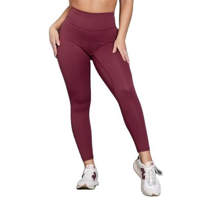 China Breathable Lift Up Workout High Waisted Gym Legging Plus Size For Women Wholesale Plus Size Leggings For Women for sale