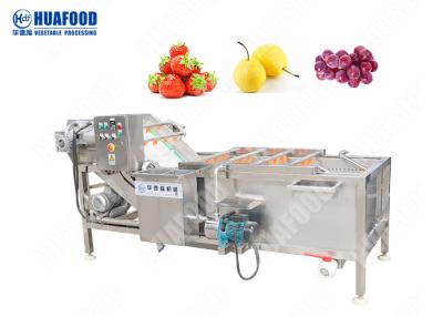 China Vegetable Washing Machine Tomato Washing Machine Vegetable Wash Line Automatic Vegetable Washer for sale