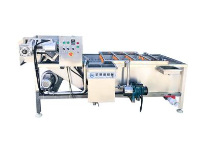 China 4000kg/H Vegetable Washing Machine for sale