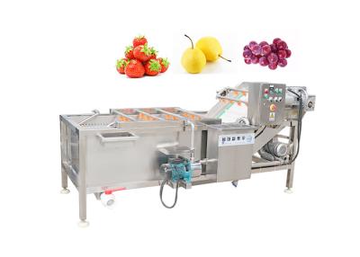 China 500kg/H Tomatoes Cabbage Air Bubble Washing Machine SUS 304 Stainless Steel Vegetable Washer for sale