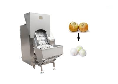 China 3000kg/h Onion Peeling Machine for sale