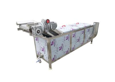 China 300kg/h 2.95kw Raspberry Vegetable Blanching Machine for sale