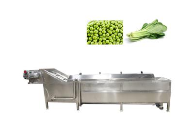 China Food Precooking 300kg/H 2.95kw Potato Blanching Machine for sale