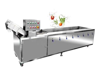 China Vegetable Fruit Bubble Washing Machine Fruit Vegetable Ozone Cleaning Machine For Restaurant for sale