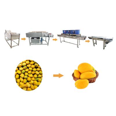 China SS304 Vegetable And Fruit Washing Machine Mango Processing Line for sale