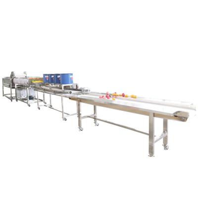 China Peach Cleaning Drying Machine Vegetable Cutter And Washing Machine Line for sale