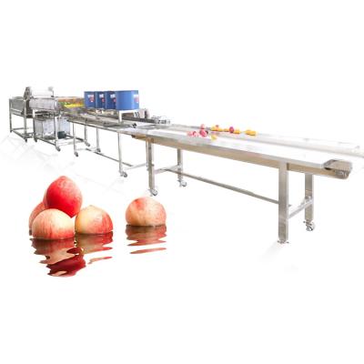 China Stainless Steel Fruit Vegetable Washing Machine Line Lettuce Onion Apple Peach for sale