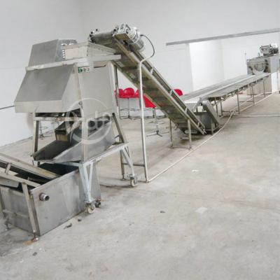 China Electric Gas Sweet Potato Chips Making Machine Production Line for sale