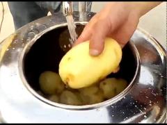 Potato Washing Peeling Cutting Slicer Machine