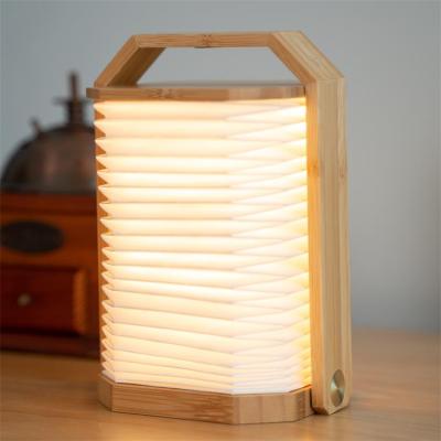 China 2021 new product eco-friendly ideas 3d night lamp home decor luxury rechargeable bedside led table lamps for sale