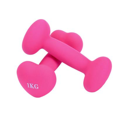 China Color Modern Slim Arm Home Yoga Fitness Exercise Dumbbell Dip-Plastic Women's Dumbbell Small Dumbbell for sale