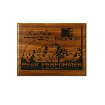 China Custom Printed Wooden Europe White Laser Awards Cut Out Wall Plaques For Engraving for sale