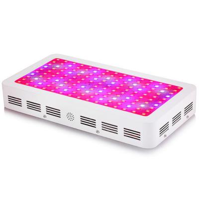 China Other LED Grow Lights For Indoor Plants Led Grow Light Full Spectrum Cob Led For Growing Light for sale